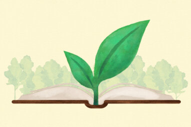 Why All Startups Should Tell a Sustainability Story